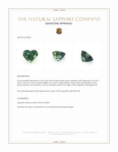 Jewelry Appraisal