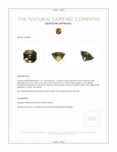 1.07 Ct. Greenish Brown Sapphire from Ceylon (Sri Lanka) Appraisal