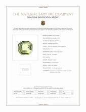 1.11 Ct. Yellowish Green Sapphire from Ceylon (Sri Lanka) Scan Report