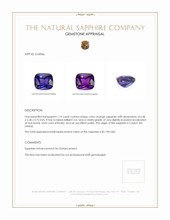1.19 Ct. Color Change Sapphire from Ceylon (Sri Lanka) Appraisal