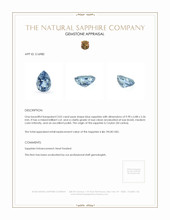 3.02 Ct. Blue Sapphire from Ceylon (Sri Lanka) Appraisal