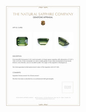 Jewelry Appraisal