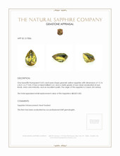 5.02 Ct. Sapphire from Ceylon (Sri Lanka) Appraisal
