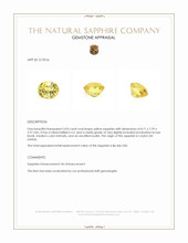 3.03 Ct. Yellow Sapphire from Ceylon (Sri Lanka) Appraisal