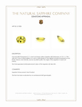 3.11 Ct. Yellow Sapphire from Ceylon (Sri Lanka) Appraisal