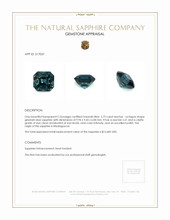 Jewelry Appraisal