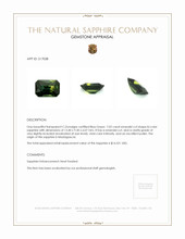 7.02 Ct. Bi Color Sapphire from Madagascar Appraisal