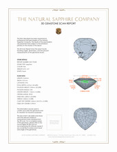 Jewelry 3 D Scan Report