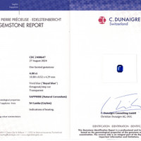 4.00 Ct. Sapphire from Ceylon (Sri Lanka) Scan Report