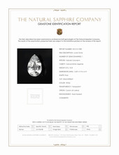Jewelry Scan Report