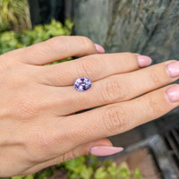2.78 Ct. Purple Sapphire from Ceylon (Sri Lanka) Life Style