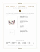 Jewelry Scan Report