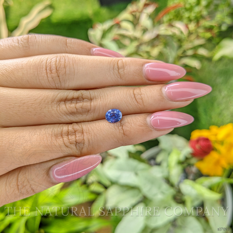 1.56 Ct. Blue Sapphire from Ceylon (Sri Lanka)