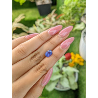2.30 Ct. Blue Sapphire from Ceylon (Sri Lanka) Life Style