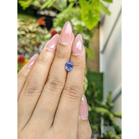 1.64 Ct. Blue Sapphire from Ceylon (Sri Lanka) Life Style