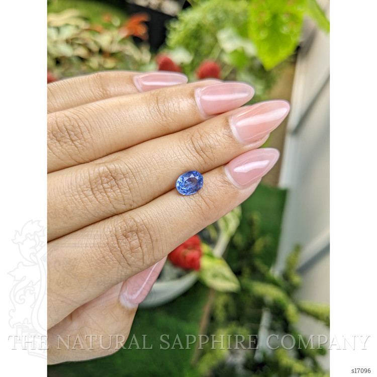 1.64 Ct. Blue Sapphire from Ceylon (Sri Lanka)