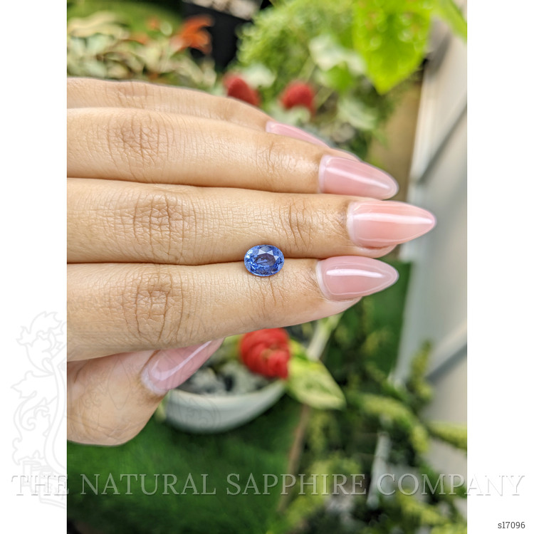 1.64 Ct. Blue Sapphire from Ceylon (Sri Lanka)