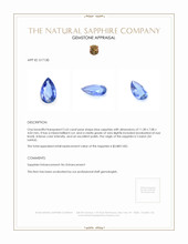 2.63 Ct. Sapphire from Ceylon (Sri Lanka) Appraisal