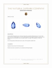 2.63 Ct. Blue Sapphire from Ceylon (Sri Lanka) Appraisal