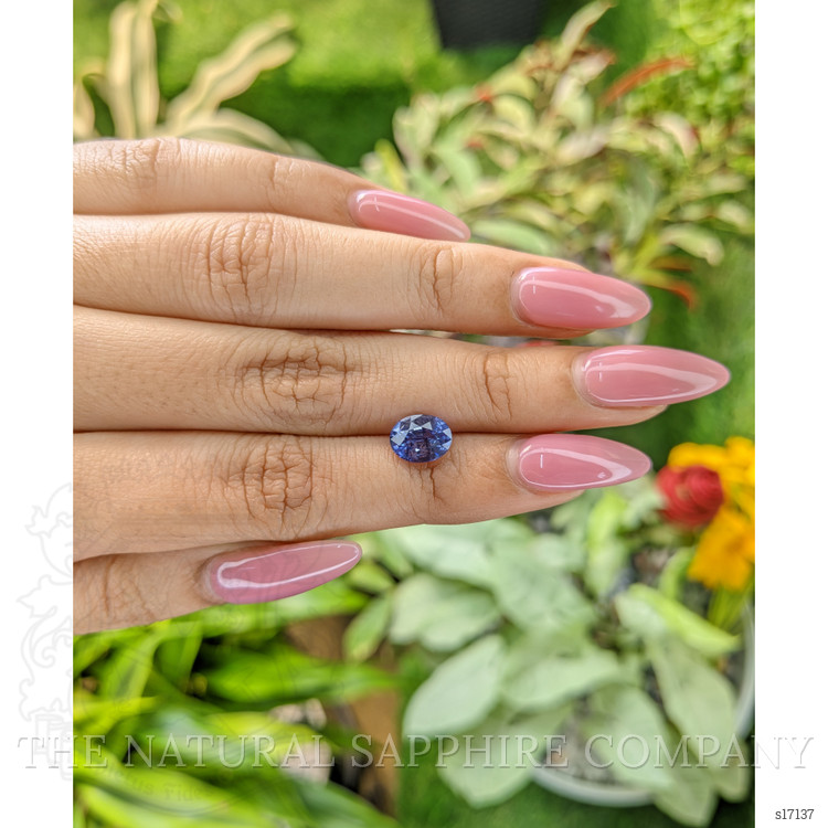 2.34 Ct. Violet Sapphire from Ceylon (Sri Lanka)