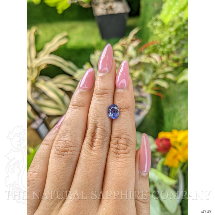 2.34 Ct. Violet Sapphire from Ceylon (Sri Lanka)