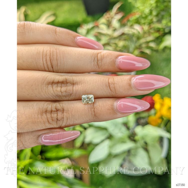 1.14 Ct. Yellowish Green Sapphire from Ceylon (Sri Lanka)