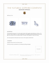 Jewelry Appraisal