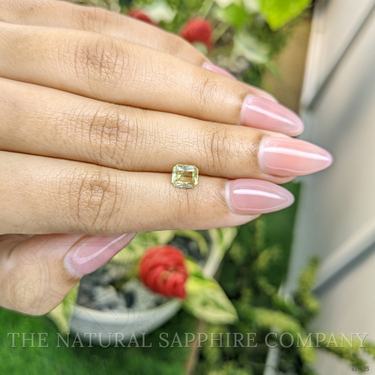 1.07 Ct. Greenish Yellow Sapphire from Ceylon (Sri Lanka)