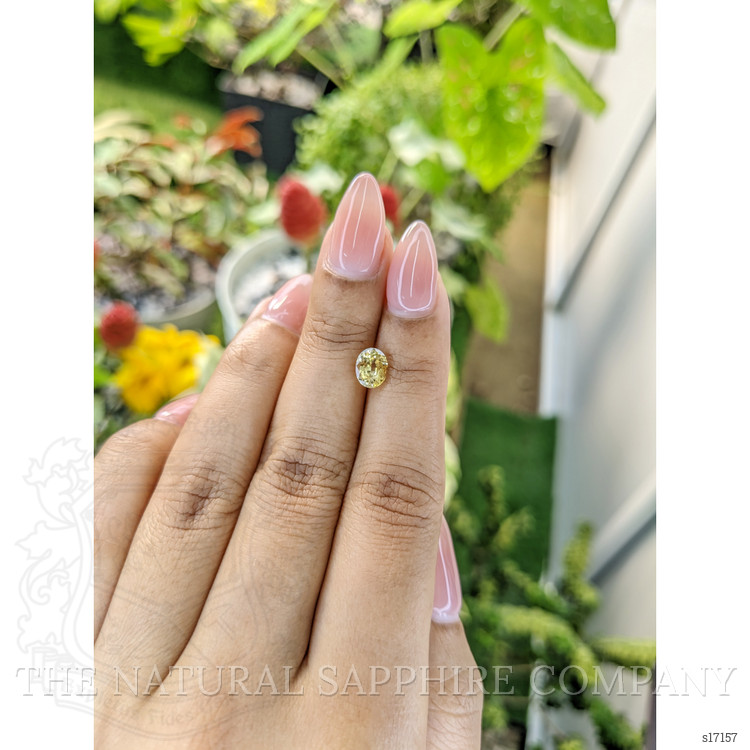 1.44 Ct. Yellow Sapphire from Ceylon (Sri Lanka)
