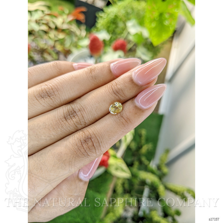 1.44 Ct. Yellow Sapphire from Ceylon (Sri Lanka)
