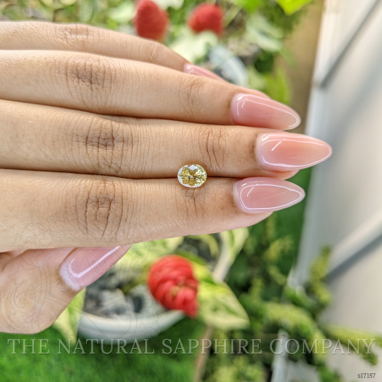 1.44 Ct. Yellow Sapphire from Ceylon (Sri Lanka)