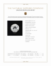 Jewelry Scan Report