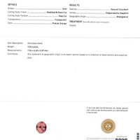 Jewelry Scan Report