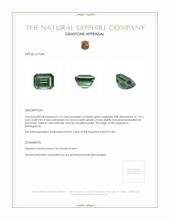 Jewelry Appraisal