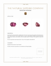 3.40 Ct. Pink Sapphire from Ceylon (Sri Lanka) Appraisal