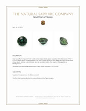 Jewelry Appraisal