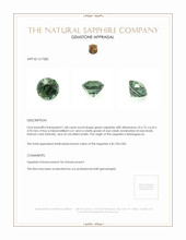 Jewelry Appraisal