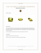 3.04 Ct. Greenish Yellow Sapphire from Ceylon (Sri Lanka) Appraisal