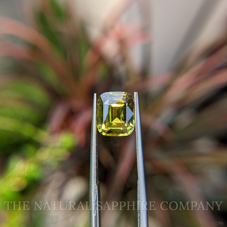 3.04 Ct. Yellowish Green Sapphire from Madagascar