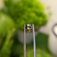 1.12 Ct. Greenish Brown Sapphire from Madagascar Life Style