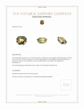 Jewelry Appraisal