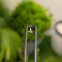 1.79 Ct. Bi Color Sapphire from Madagascar Life Style