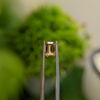 1.36 Ct. Yellowish Brown Sapphire from Madagascar Life Style