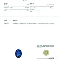 16.48 Ct. Blue Sapphire from Ceylon (Sri Lanka) Scan Report