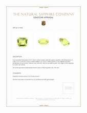 0.92 Ct. Yellowish Green Sapphire from Ceylon (Sri Lanka) Appraisal