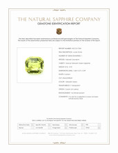 0.92 Ct. Yellowish Green Sapphire from Ceylon (Sri Lanka) Scan Report