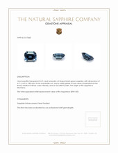 Jewelry Appraisal