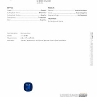 Jewelry Scan Report