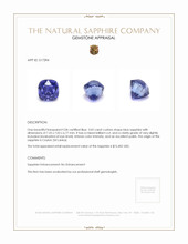 3.02 Ct. Sapphire from Ceylon (Sri Lanka) Appraisal