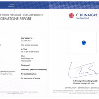 6.77 Ct. Blue Sapphire from Ceylon (Sri Lanka) Scan Report